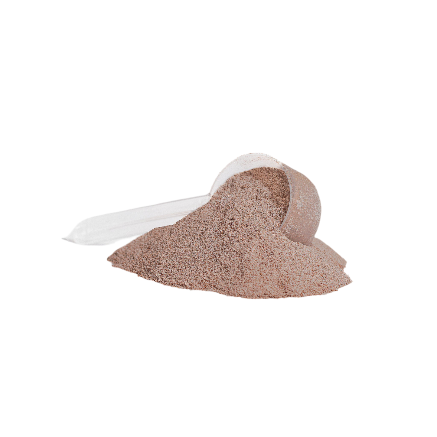 Blessing of Mass Protein Powder (Sacred Chocolate)
